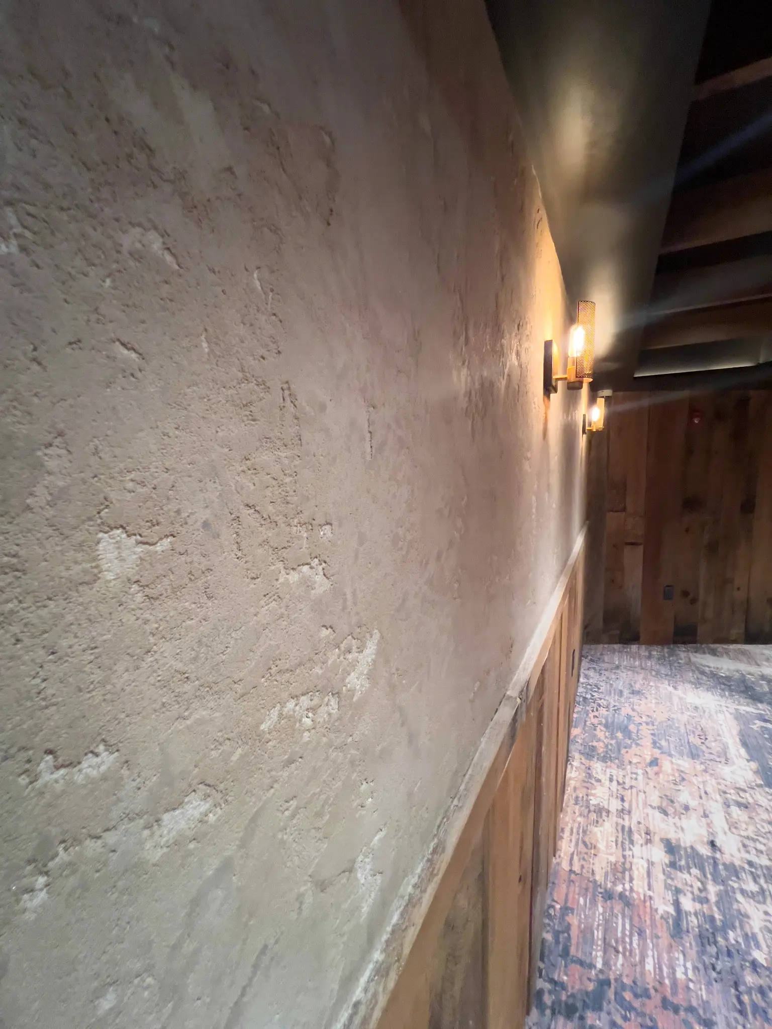 Forge — back dining room lime plaster wall above wood wainscoting
