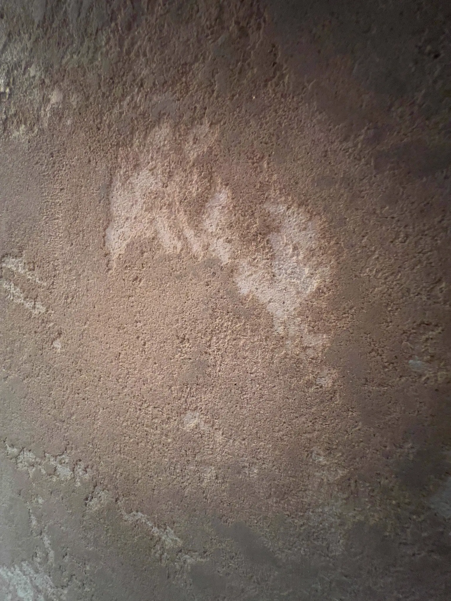 Forge — detail of the aged patina lime plaster finish